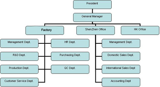 company structure